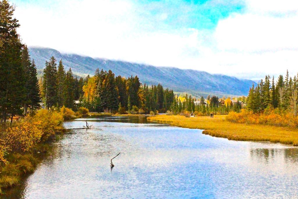 Luxury Canmore Vacations Exteriér fotografie